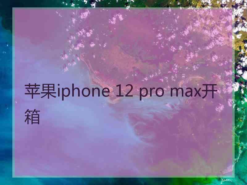 苹果iphone 12 pro max开箱