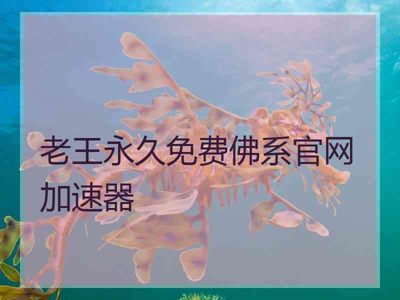 老王永久免费佛系官网加速器