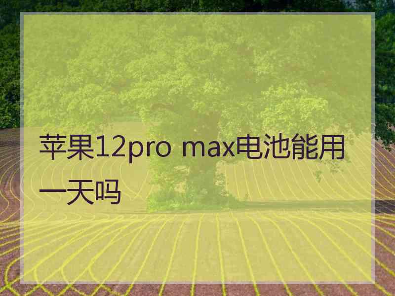 苹果12pro max电池能用一天吗