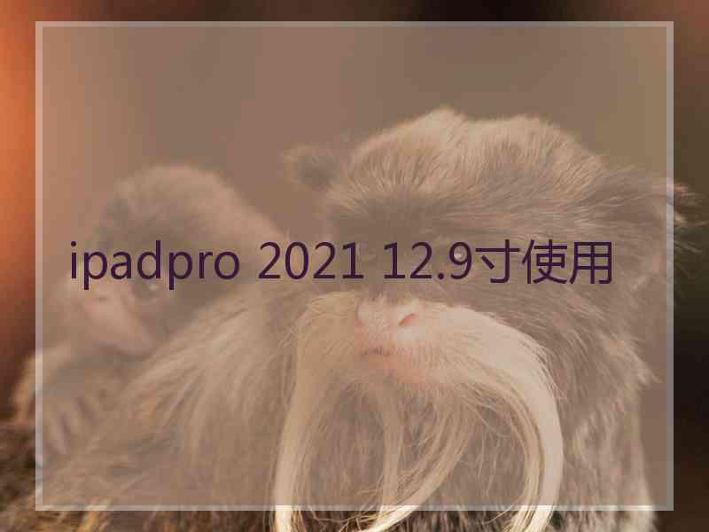 ipadpro 2021 12.9寸使用