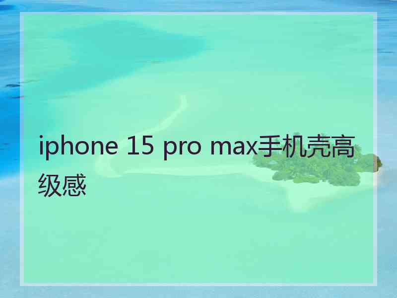 iphone 15 pro max手机壳高级感