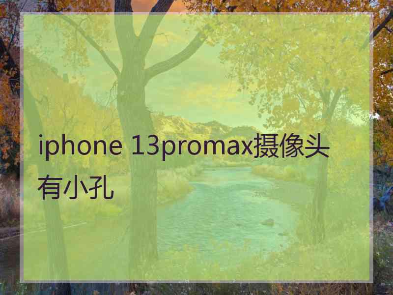 iphone 13promax摄像头有小孔