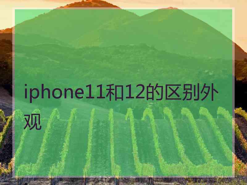 iphone11和12的区别外观