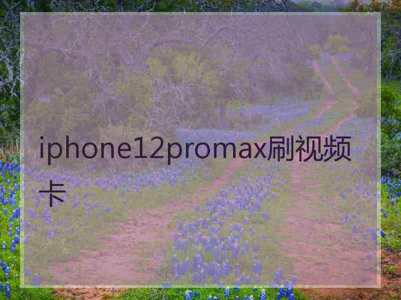 iphone12promax刷视频卡