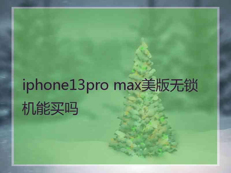 iphone13pro max美版无锁机能买吗