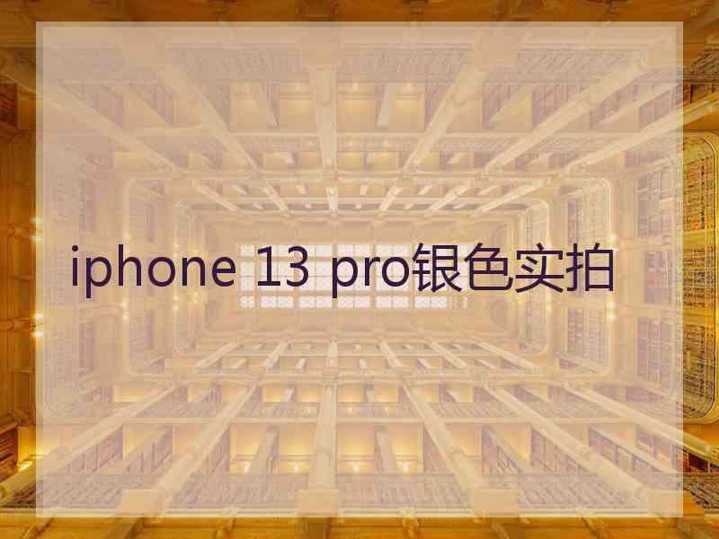 iphone 13 pro银色实拍