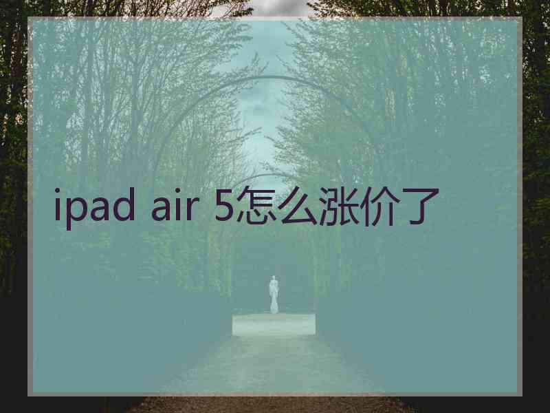 ipad air 5怎么涨价了