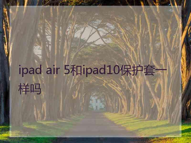 ipad air 5和ipad10保护套一样吗