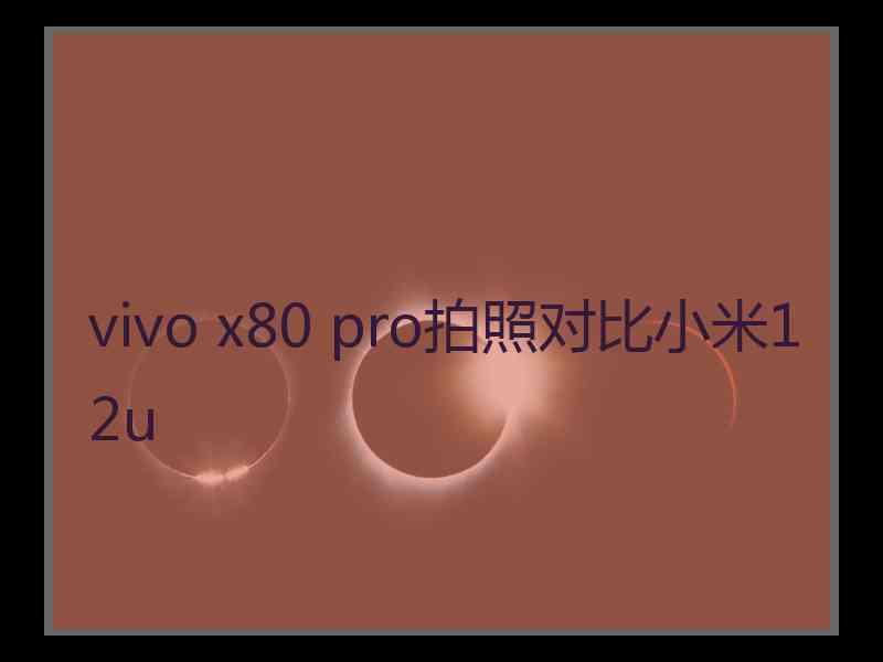 vivo x80 pro拍照对比小米12u