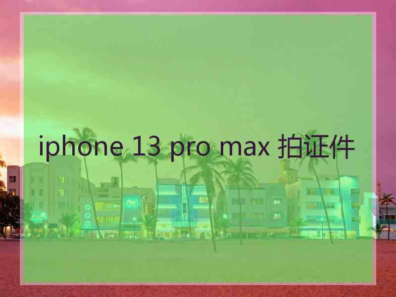 iphone 13 pro max 拍证件