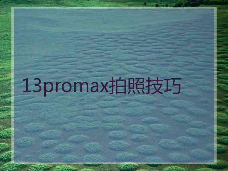 13promax拍照技巧