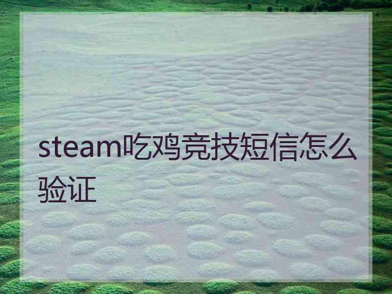 steam吃鸡竞技短信怎么验证