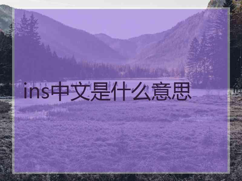 ins中文是什么意思