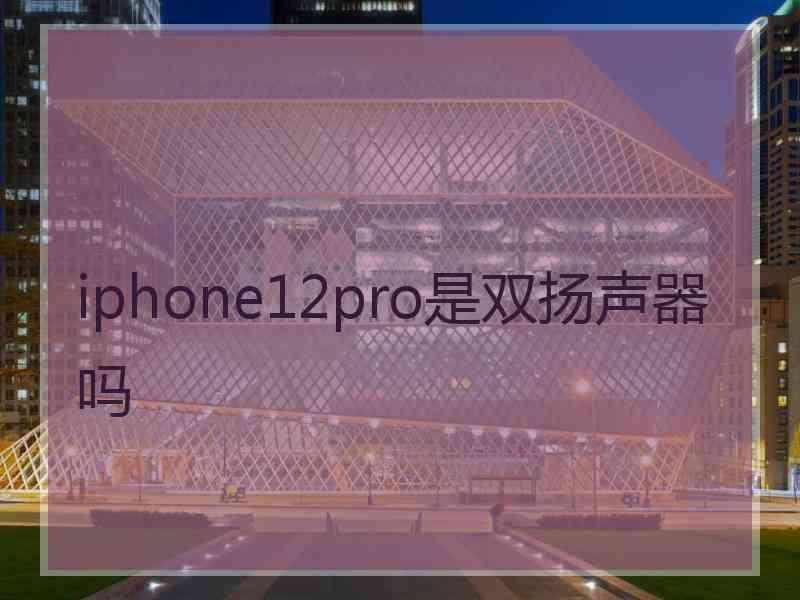 iphone12pro是双扬声器吗