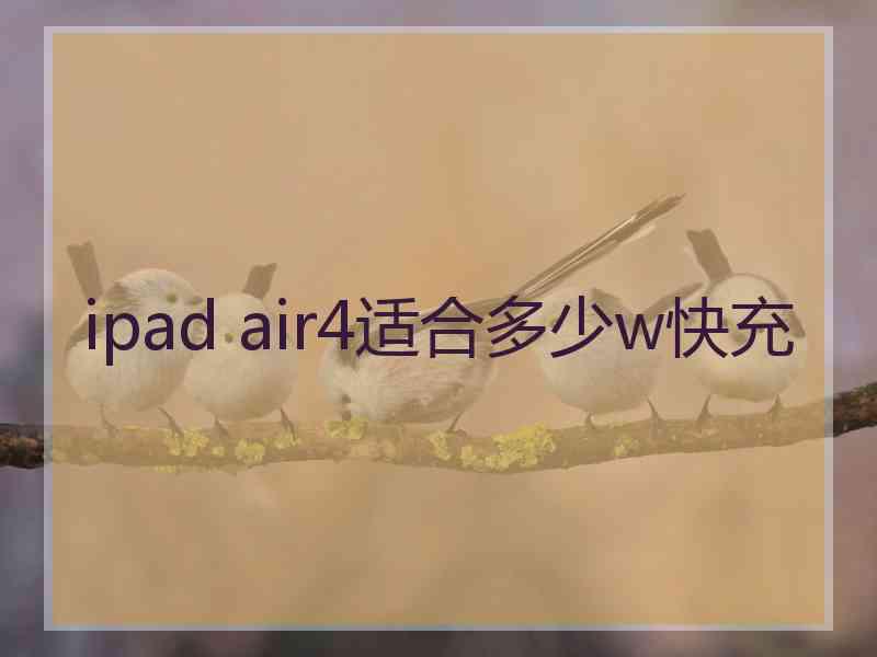 ipad air4适合多少w快充