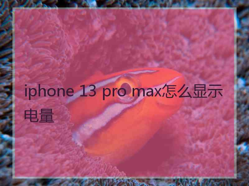 iphone 13 pro max怎么显示电量