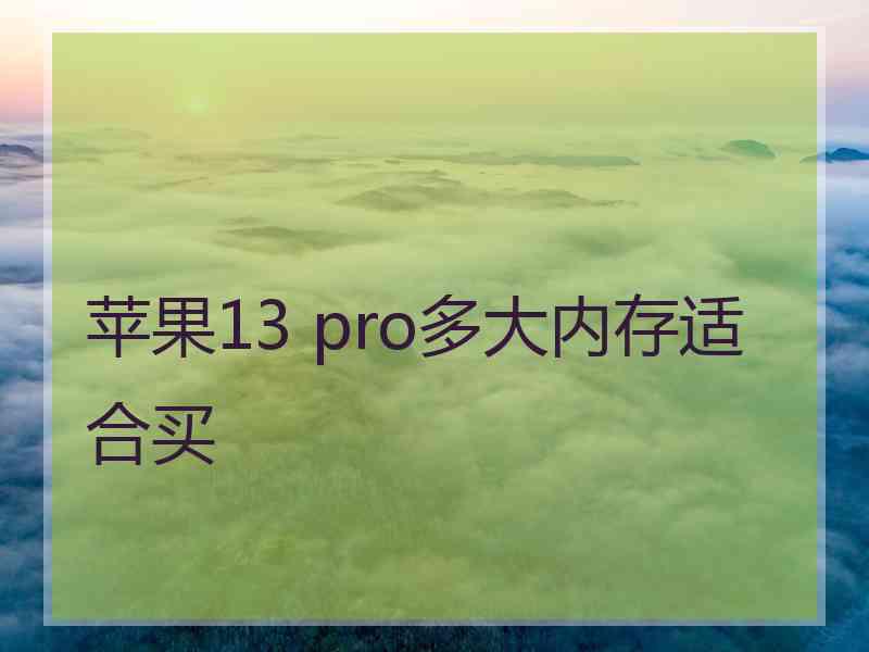 苹果13 pro多大内存适合买