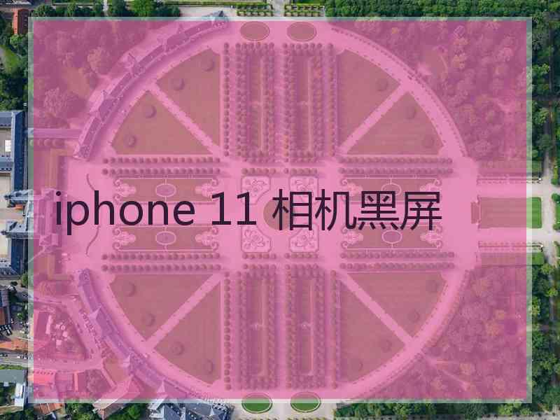 iphone 11 相机黑屏