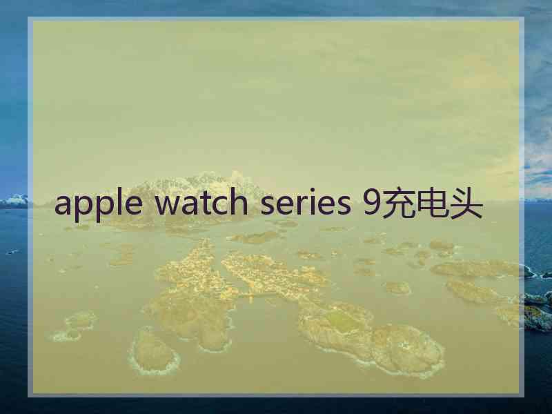 apple watch series 9充电头