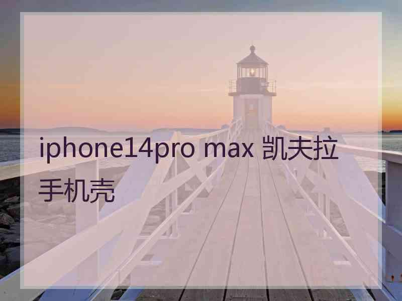 iphone14pro max 凯夫拉手机壳