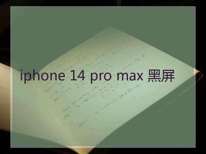 iphone 14 pro max 黑屏