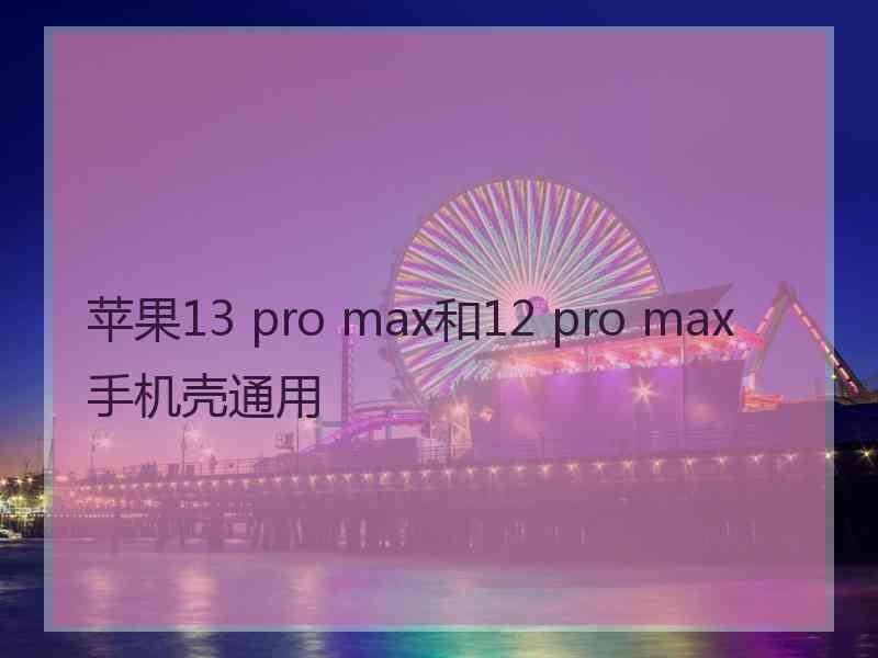 苹果13 pro max和12 pro max手机壳通用