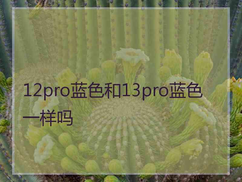 12pro蓝色和13pro蓝色一样吗