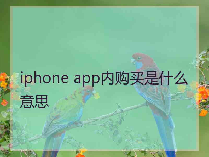 iphone app内购买是什么意思