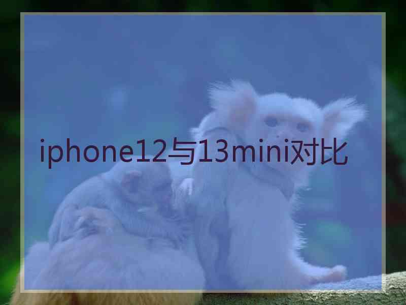 iphone12与13mini对比