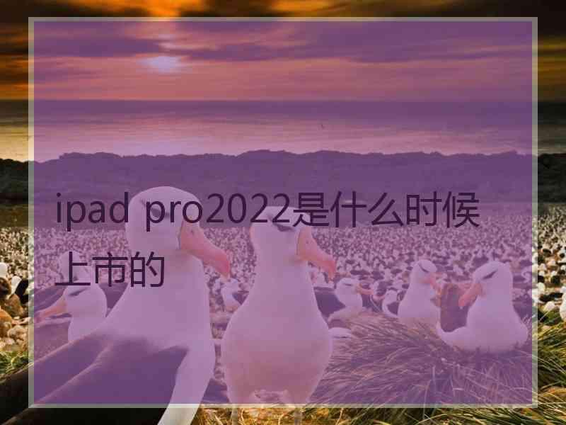 ipad pro2022是什么时候上市的