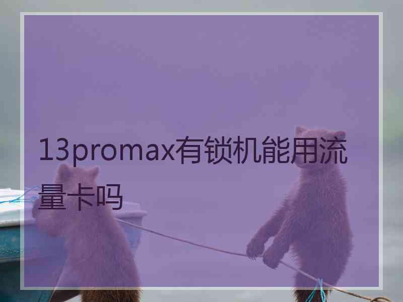 13promax有锁机能用流量卡吗