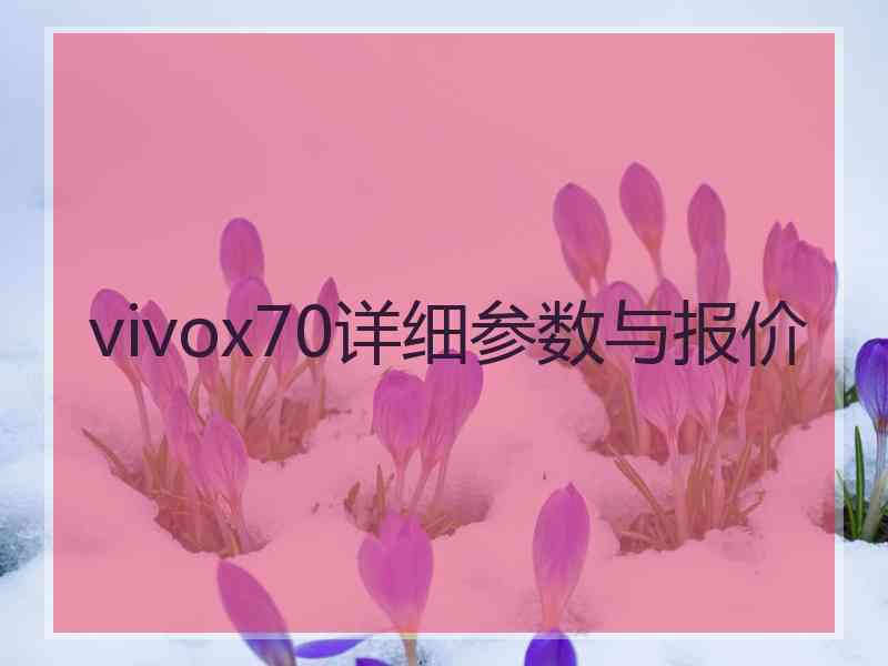 vivox70详细参数与报价