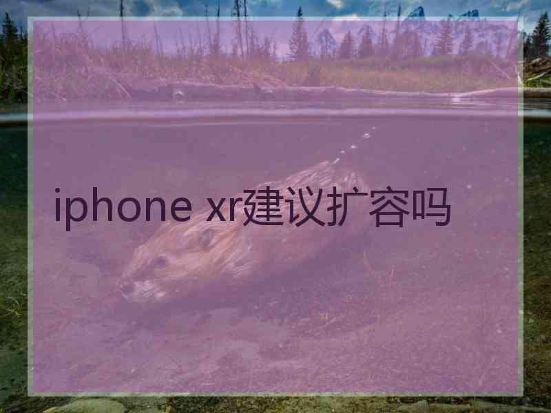 iphone xr建议扩容吗