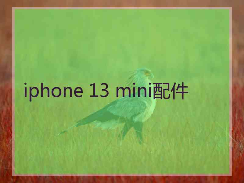 iphone 13 mini配件