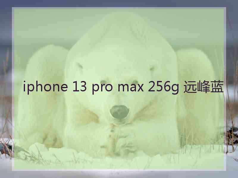 iphone 13 pro max 256g 远峰蓝