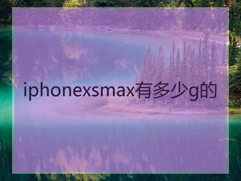 iphonexsmax有多少g的