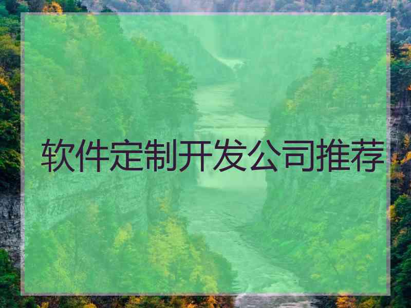 软件定制开发公司推荐