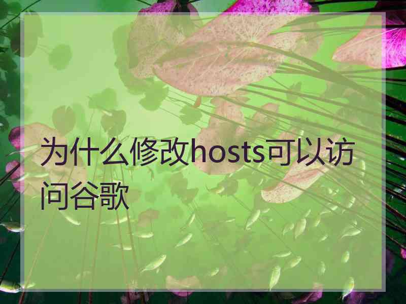 为什么修改hosts可以访问谷歌