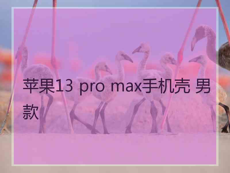 苹果13 pro max手机壳 男款