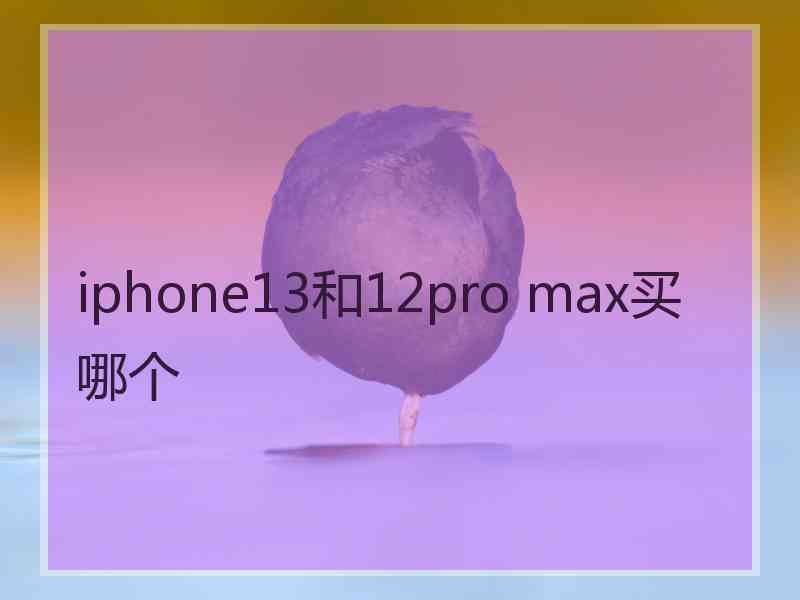 iphone13和12pro max买哪个