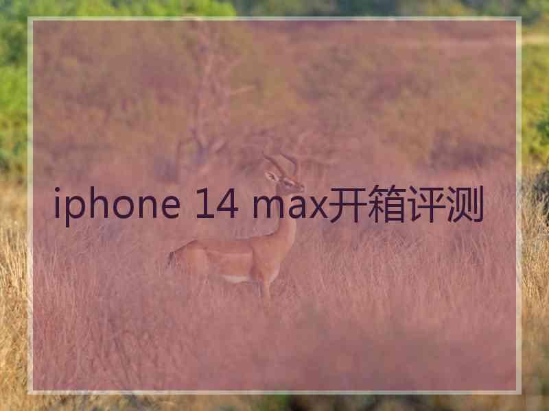 iphone 14 max开箱评测