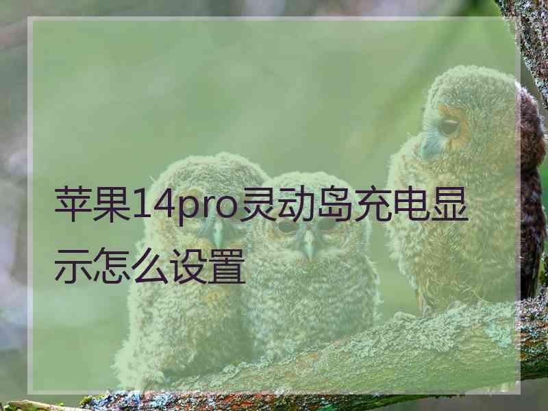 苹果14pro灵动岛充电显示怎么设置