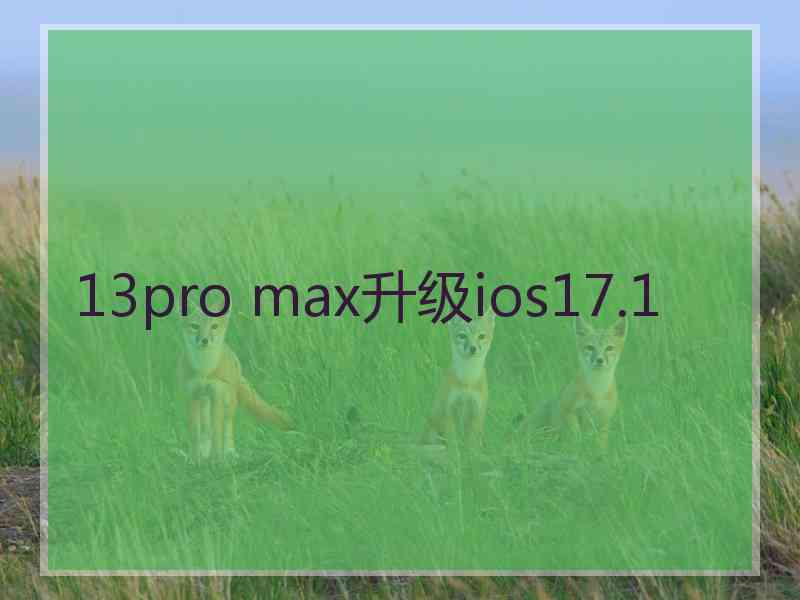 13pro max升级ios17.1