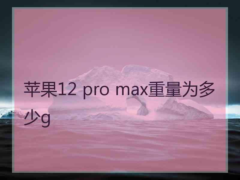 苹果12 pro max重量为多少g