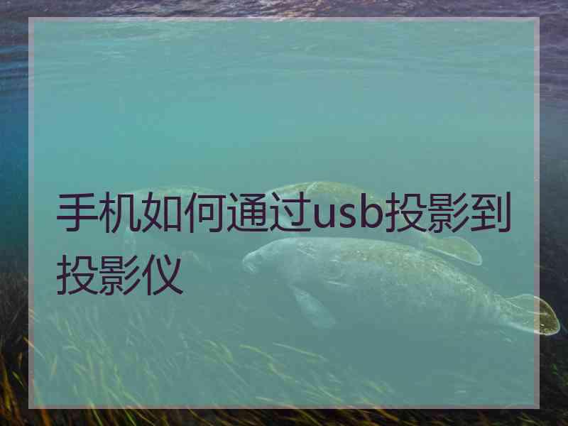 手机如何通过usb投影到投影仪