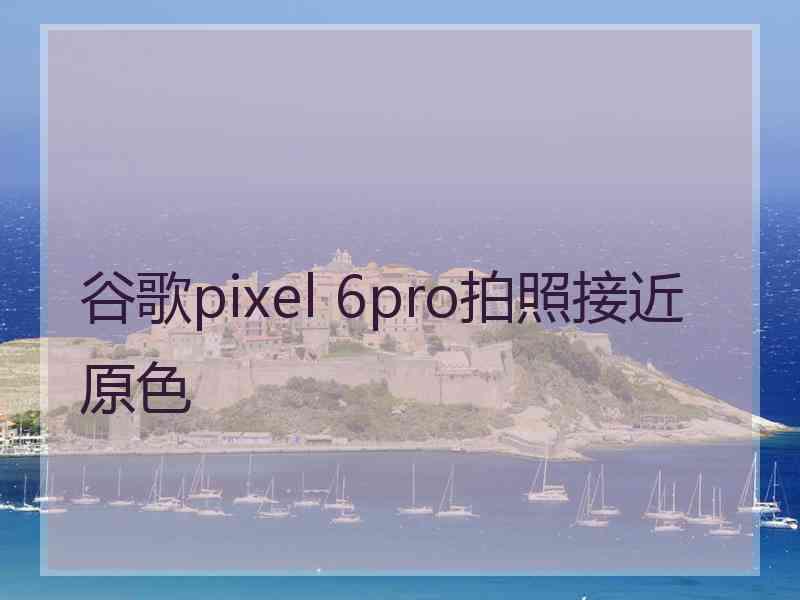 谷歌pixel 6pro拍照接近原色