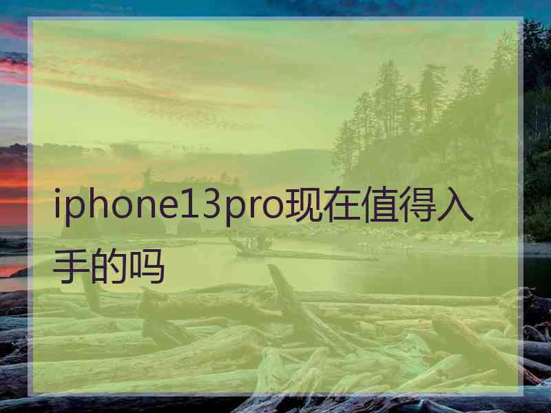 iphone13pro现在值得入手的吗