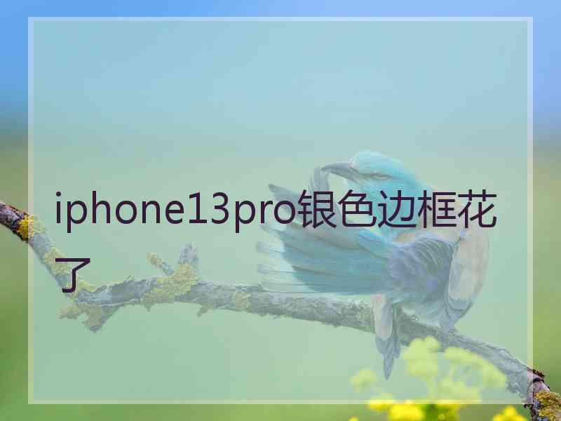 iphone13pro银色边框花了