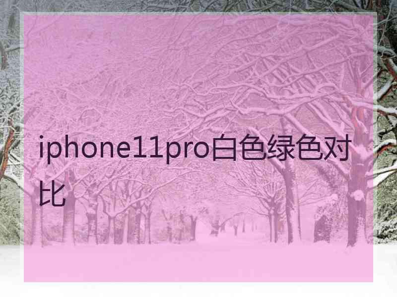 iphone11pro白色绿色对比