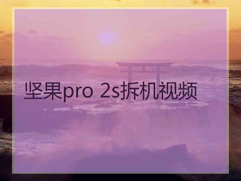 坚果pro 2s拆机视频